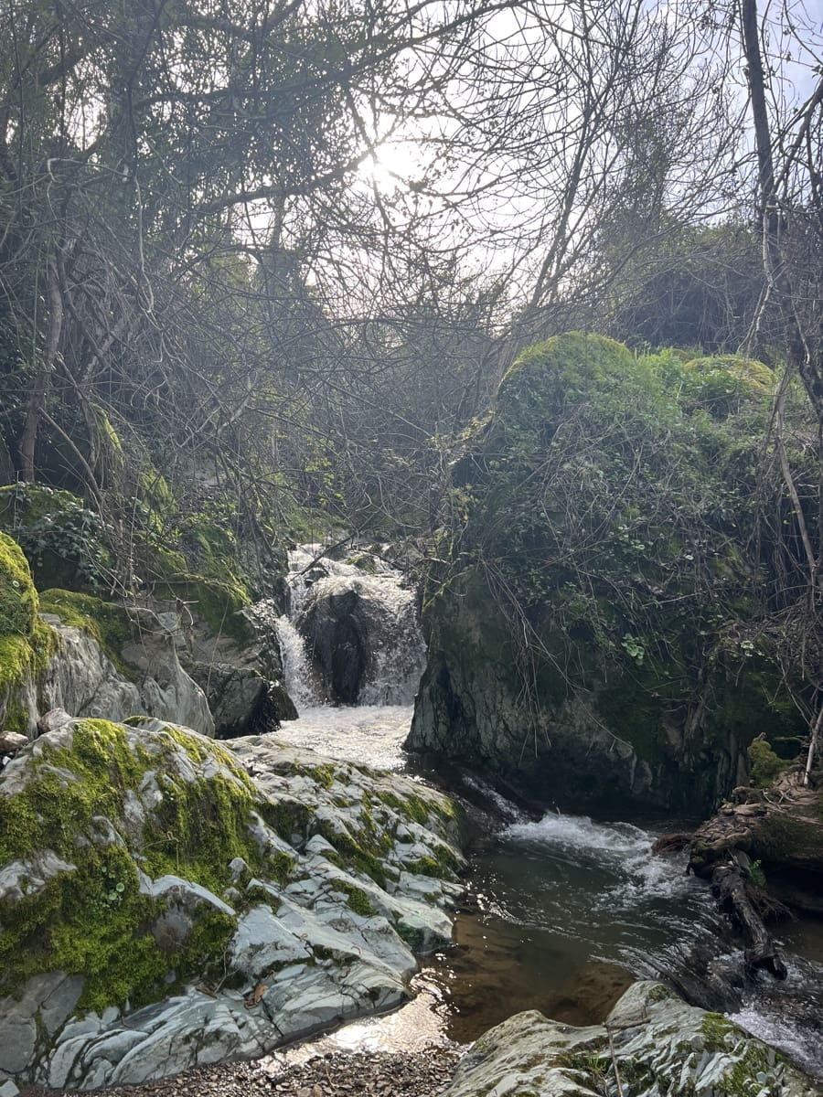 8 soveværelse Finca/Landehus til salg i Huelva by - € 950.000 (Ref: 9074038)