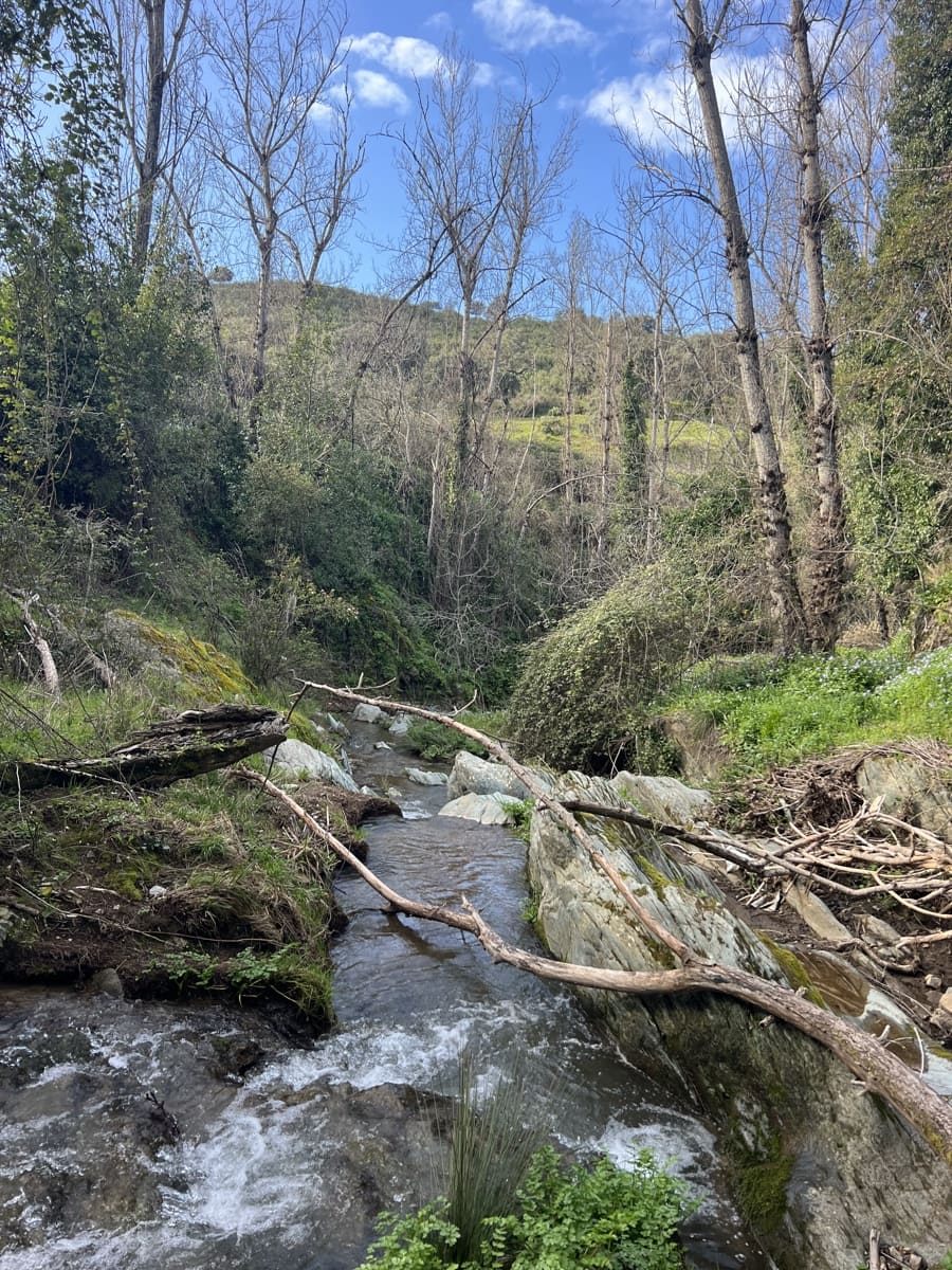 8 soveværelse Finca/Landehus til salg i Huelva by - € 950.000 (Ref: 9074038)