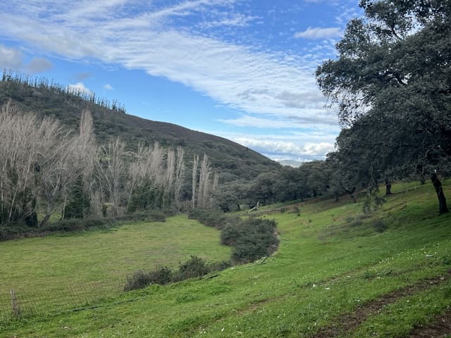 8 chambre Finca/Maison de Campagne à vendre à Huelva ville - 950 000 € (Ref: 9074038)