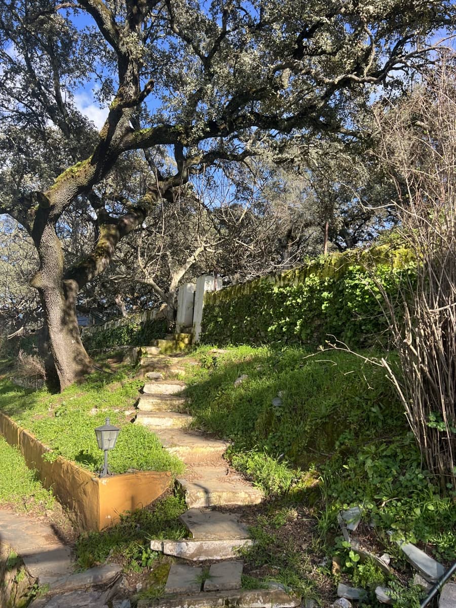 8 soveværelse Finca/Landehus til salg i Huelva by - € 950.000 (Ref: 9074038)