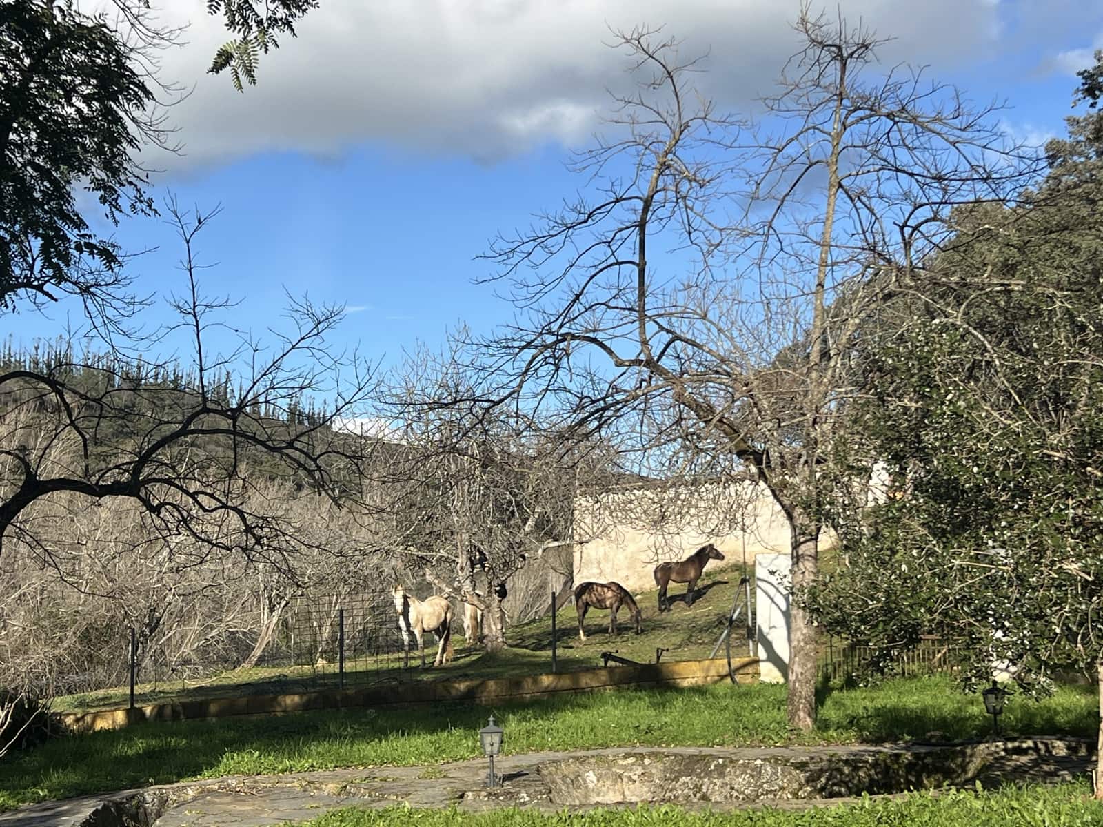 8 soveværelse Finca/Landehus til salg i Huelva by - € 950.000 (Ref: 9074038)