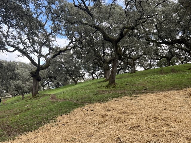 8 chambre Finca/Maison de Campagne à vendre à Huelva ville - 950 000 € (Ref: 9074038)