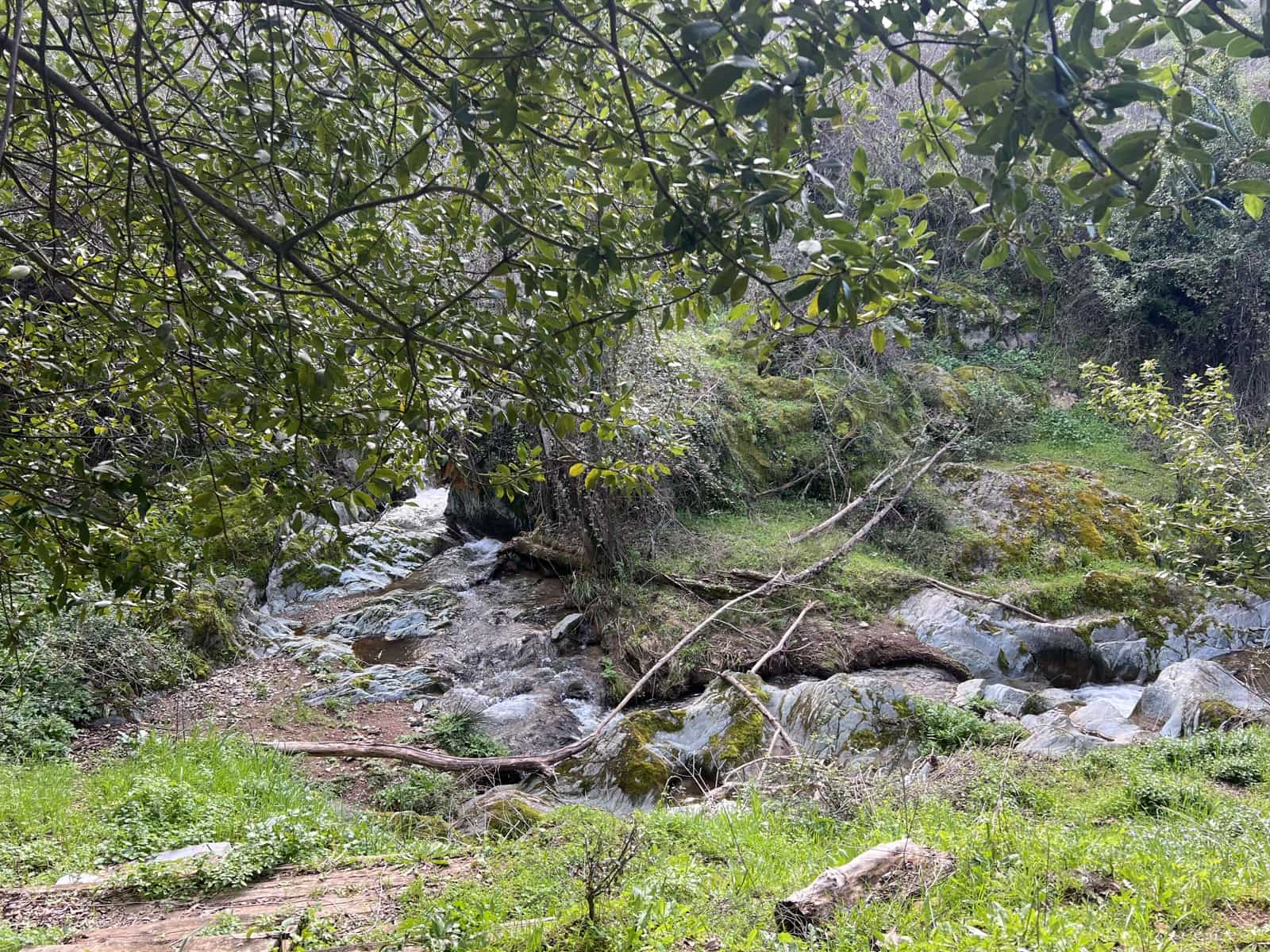 8 soveværelse Finca/Landehus til salg i Huelva by - € 950.000 (Ref: 9074038)