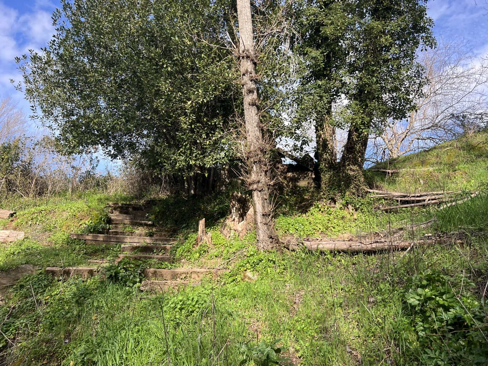 8 soveværelse Finca/Landehus til salg i Huelva by - € 950.000 (Ref: 9074038)