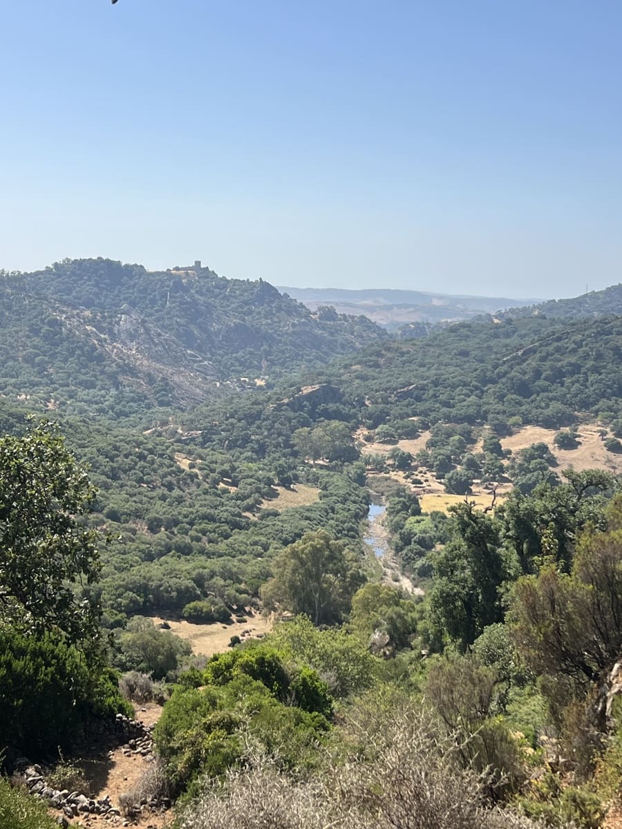 4 soveværelse Finca/Landehus til salg i Jimena de la Frontera - € 2.500.000 (Ref: 9240658)