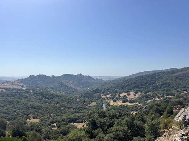 4 chambre Finca/Maison de Campagne à vendre à Jimena de la Frontera - 2 500 000 € (Ref: 9240658)