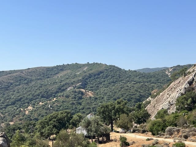 4 chambre Finca/Maison de Campagne à vendre à Jimena de la Frontera - 2 500 000 € (Ref: 9240658)