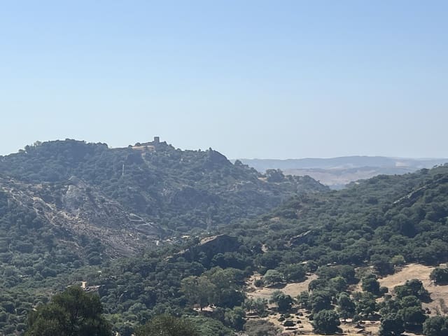 4 chambre Finca/Maison de Campagne à vendre à Jimena de la Frontera - 2 500 000 € (Ref: 9240658)