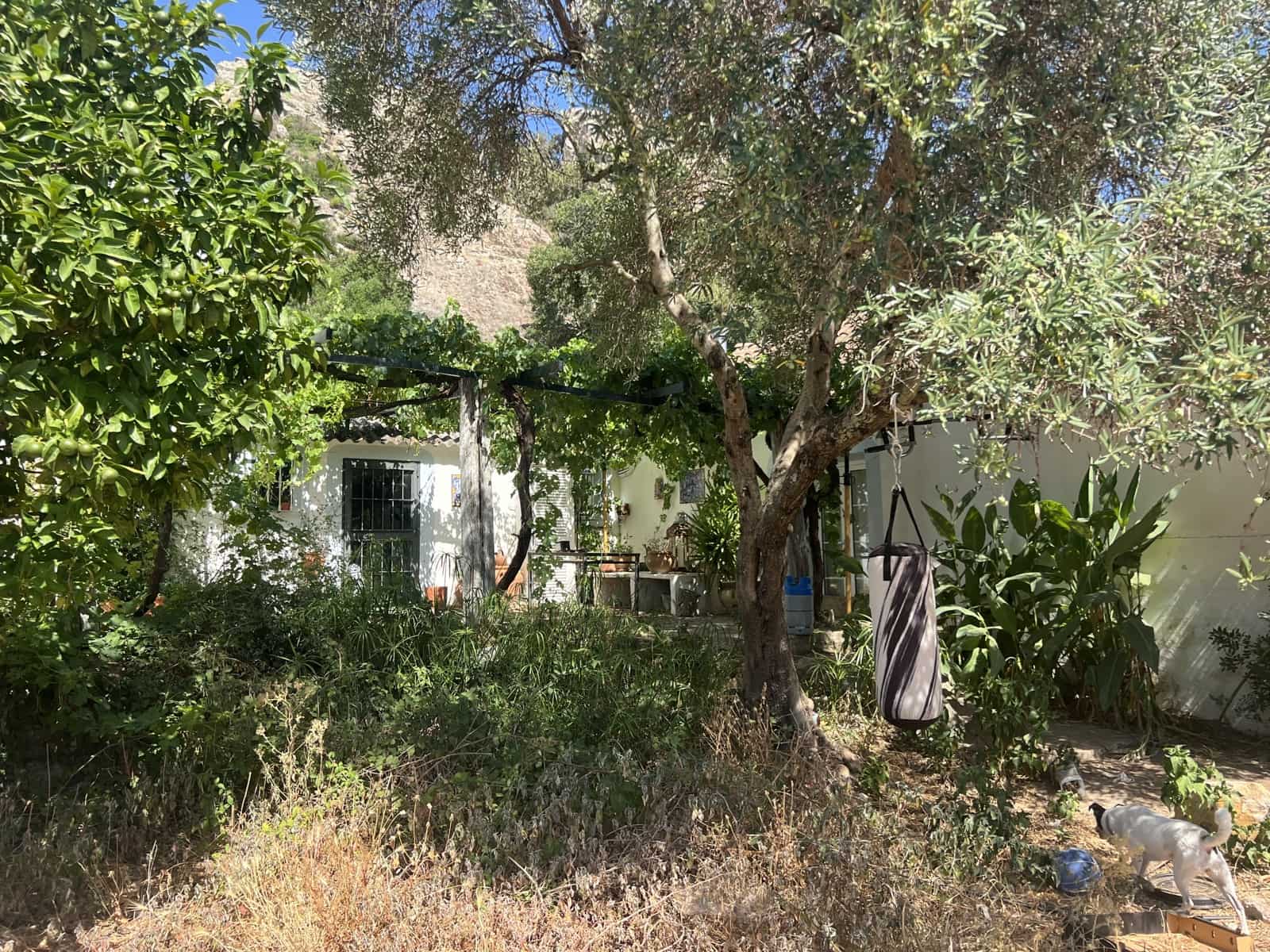 4 soveværelse Finca/Landehus til salg i Jimena de la Frontera - € 2.500.000 (Ref: 9240658)