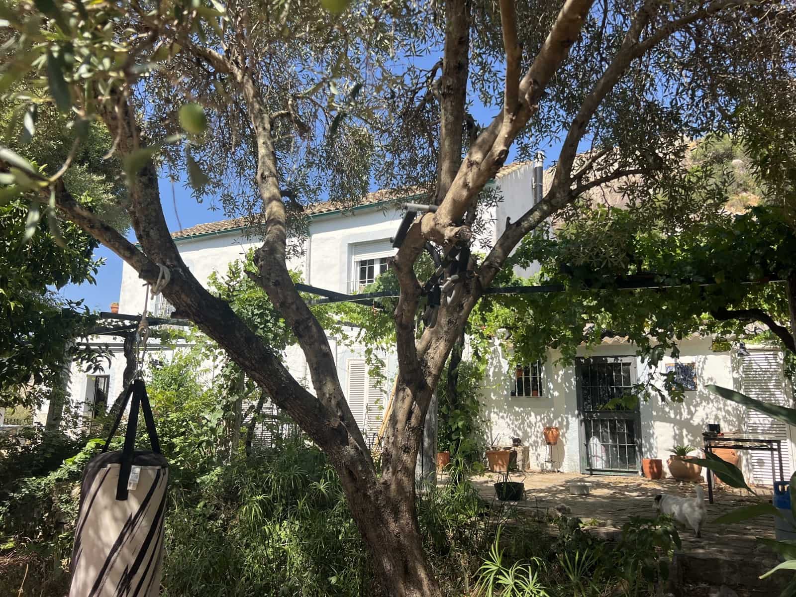 4 soveværelse Finca/Landehus til salg i Jimena de la Frontera - € 2.500.000 (Ref: 9240658)