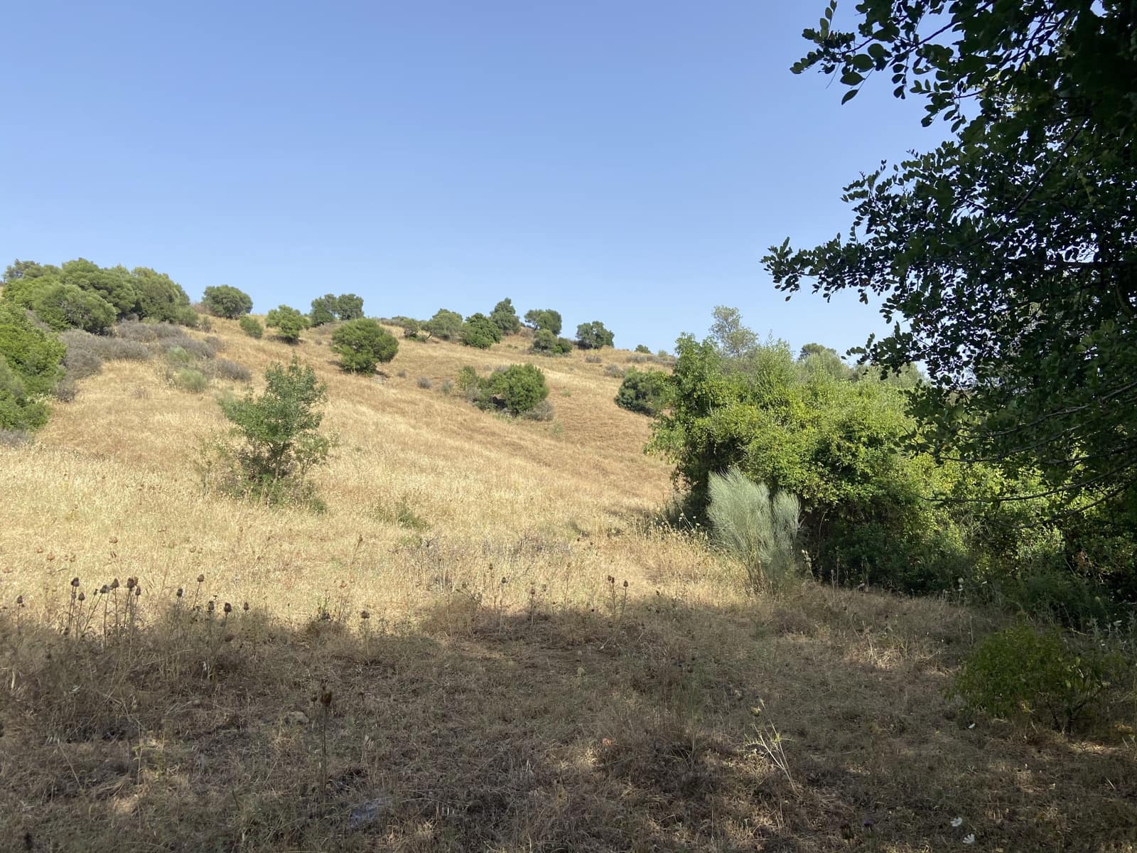 4 soverom Finca/Herregård til salgs i Jimena de la Frontera - € 800 000 (Ref: 9240944)