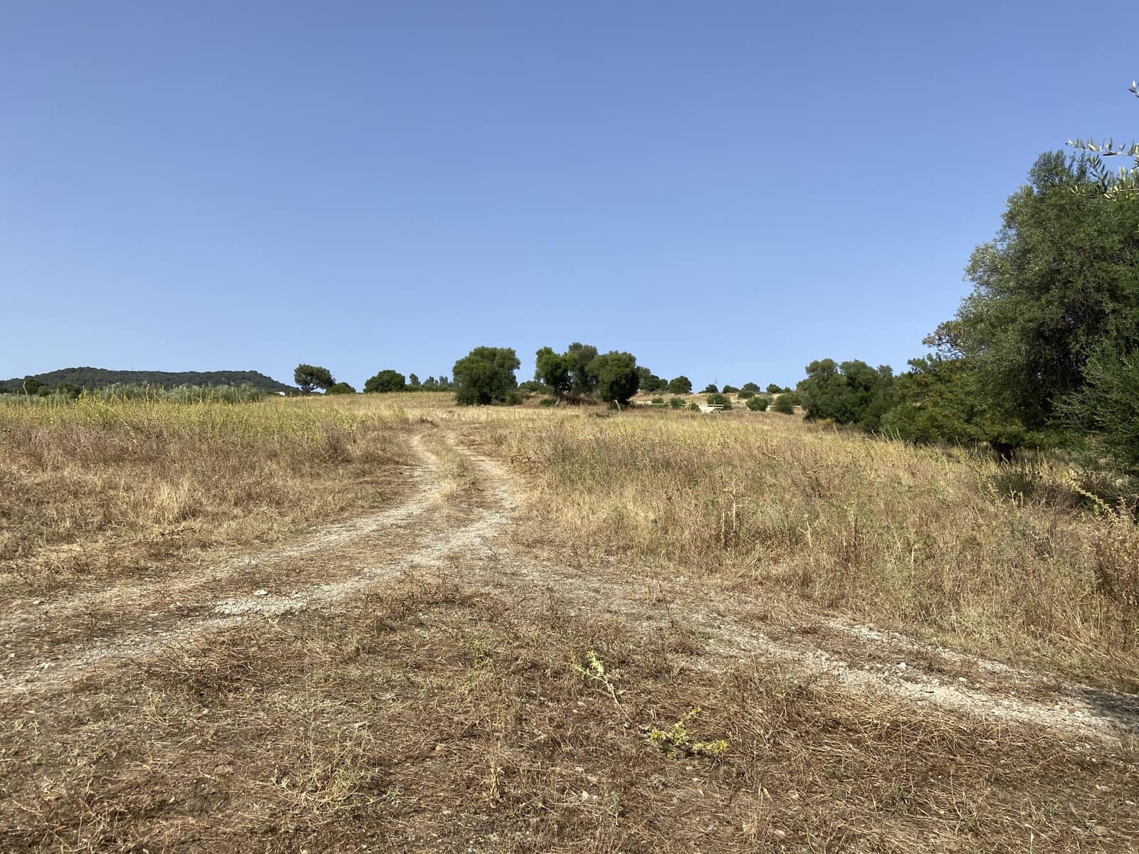 4 soverom Finca/Herregård til salgs i Jimena de la Frontera - € 800 000 (Ref: 9240944)