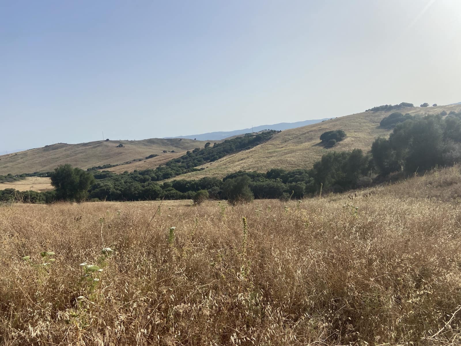 4 soverom Finca/Herregård til salgs i Jimena de la Frontera - € 800 000 (Ref: 9240944)