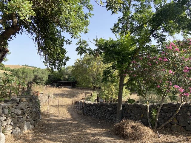 4 chambre Finca/Maison de Campagne à vendre à Jimena de la Frontera - 800 000 € (Ref: 9240944)
