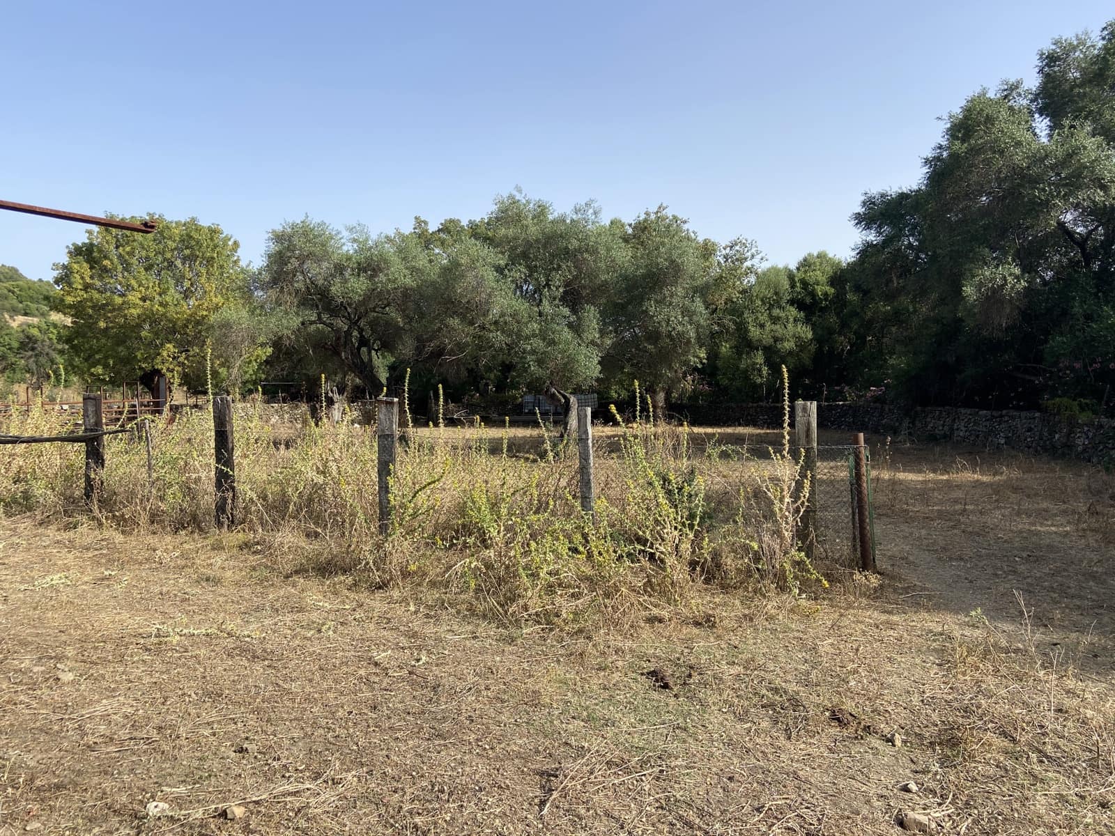 4 soverom Finca/Herregård til salgs i Jimena de la Frontera - € 800 000 (Ref: 9240944)