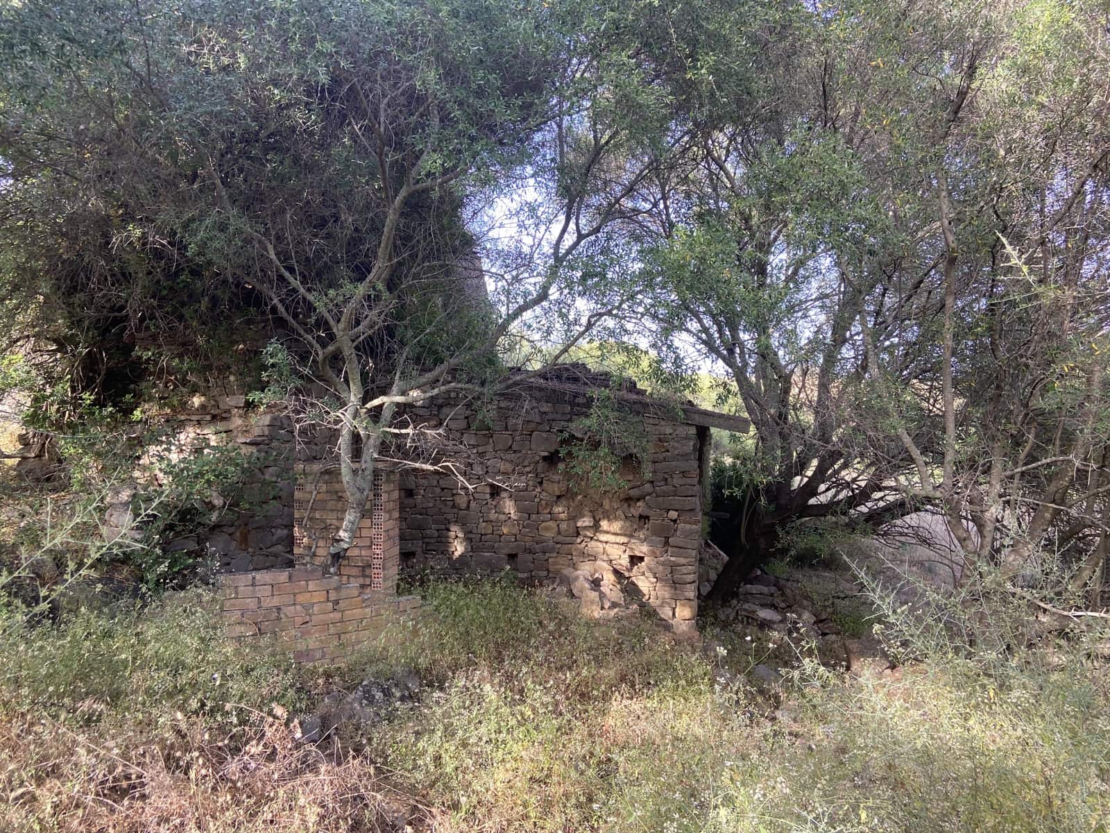 4 soverom Finca/Herregård til salgs i Jimena de la Frontera - € 800 000 (Ref: 9240944)