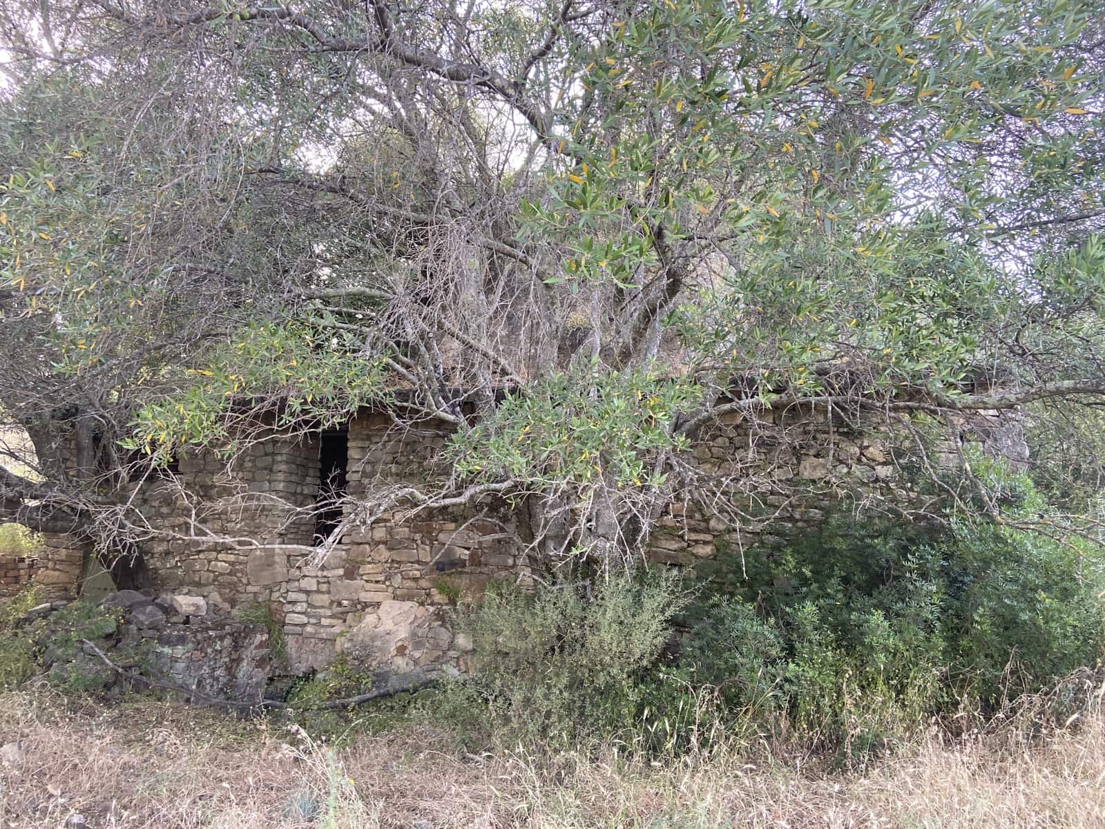 4 soverom Finca/Herregård til salgs i Jimena de la Frontera - € 800 000 (Ref: 9240944)