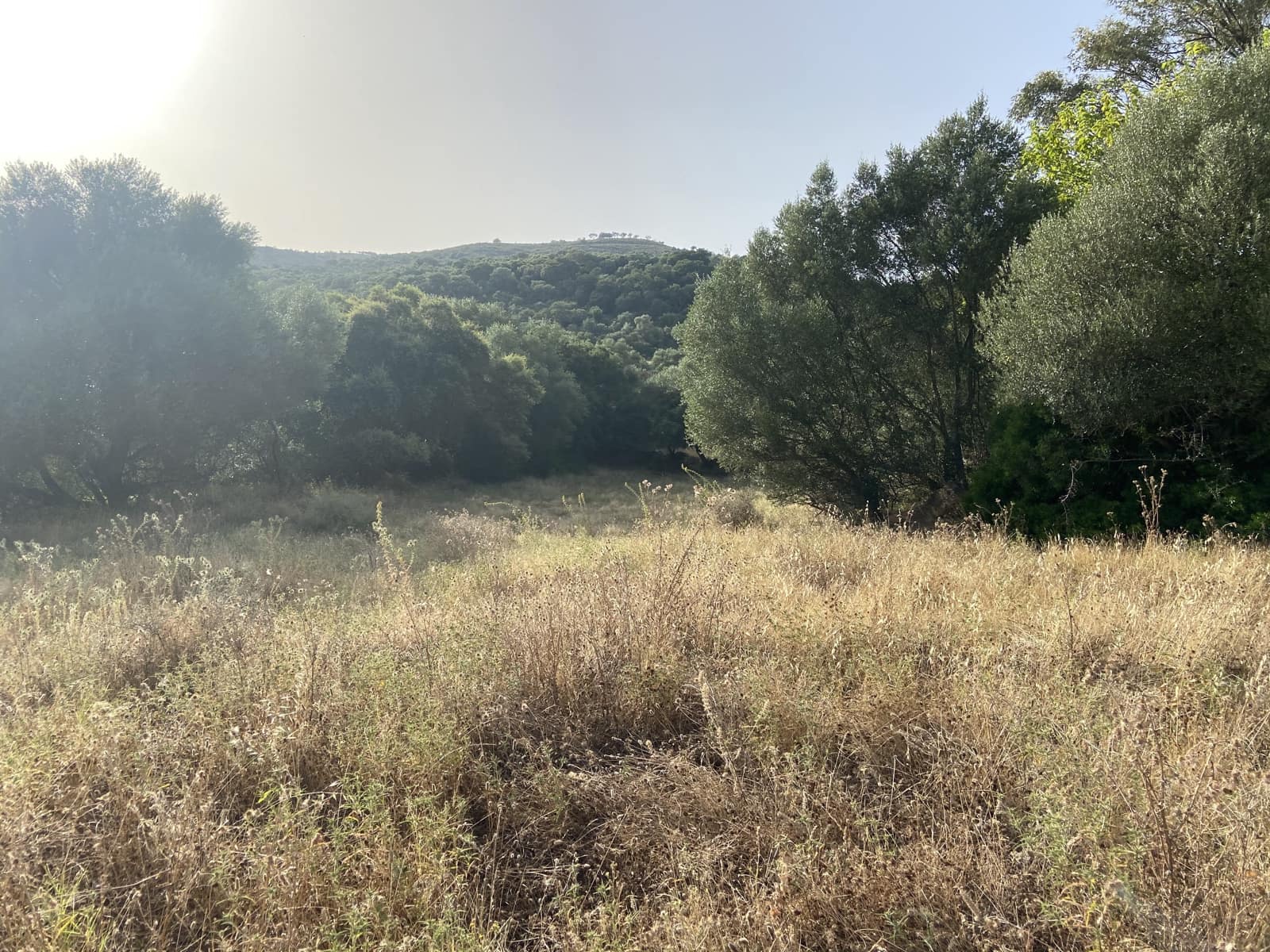 4 soverom Finca/Herregård til salgs i Jimena de la Frontera - € 800 000 (Ref: 9240944)