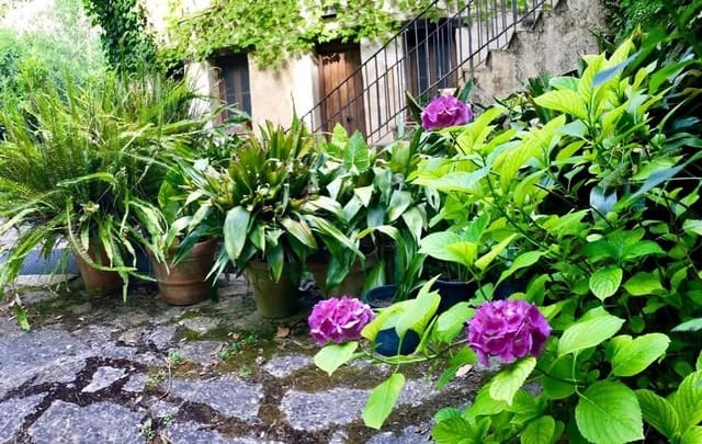 3 soveværelse Finca/Landehus til salg i Grazalema - € 890.000 (Ref: 9241030)