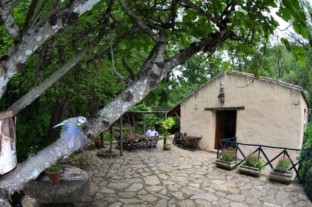 3 soveværelse Finca/Landehus til salg i Grazalema - € 890.000 (Ref: 9241030)