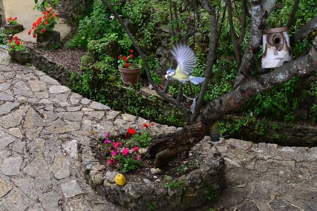 3 soveværelse Finca/Landehus til salg i Grazalema - € 890.000 (Ref: 9241030)