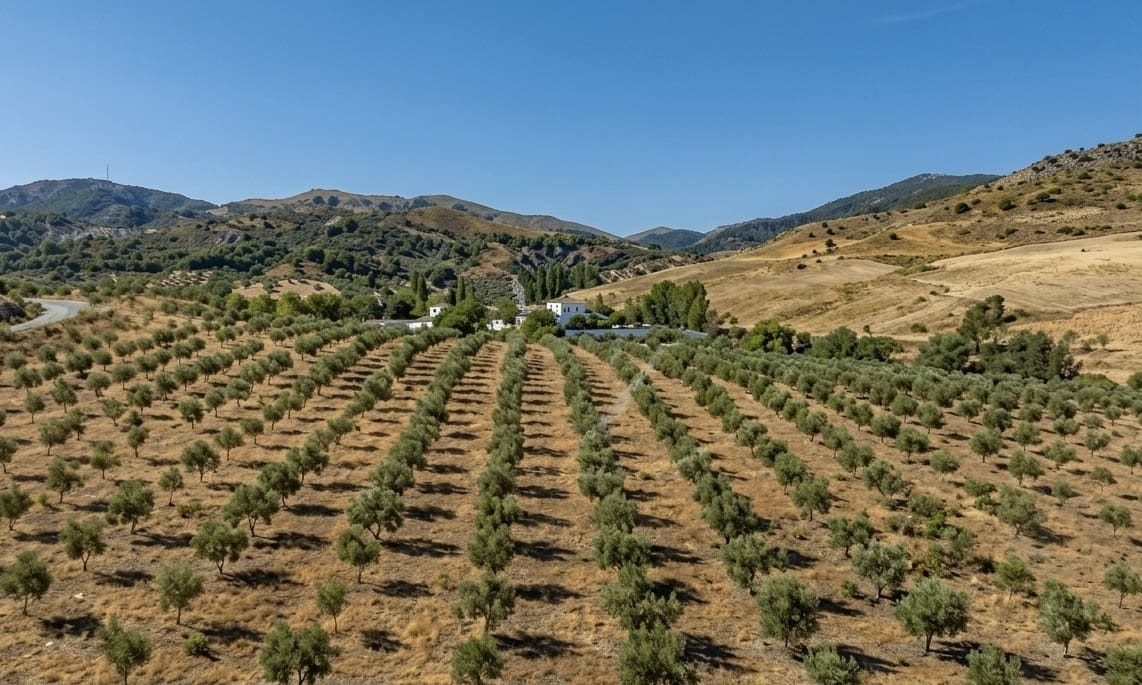 13 soverom Finca/Herregård til salgs i Ronda - € 2 750 000 (Ref: 9667145)