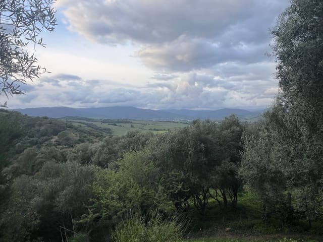 3 chambre Finca/Maison de Campagne à vendre à Jimena de la Frontera - 1 500 000 € (Ref: 9672090)