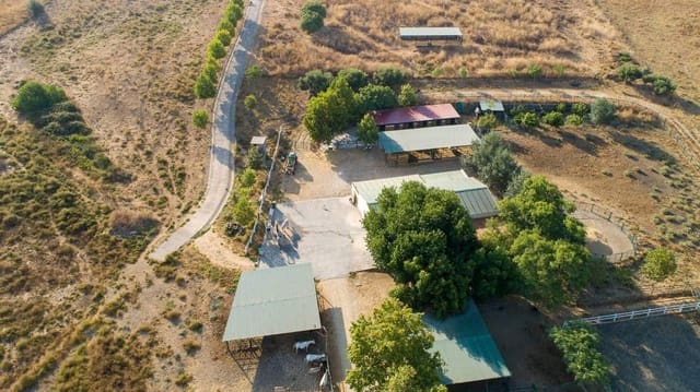 5 slaapkamer Finca/Landhuis te koop in Marchenilla, Jimena de la Frontera - € 1.800.000 (Ref: 9691569)