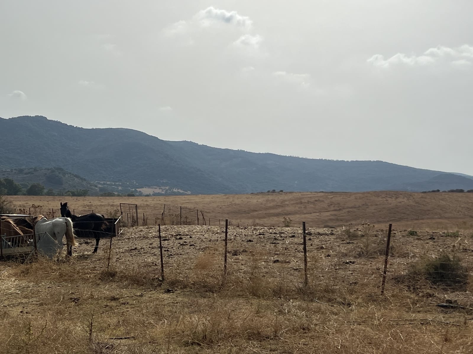 Tontti myytävänä paikassa Marchenilla - 400 000 € (Ref: 9691581)