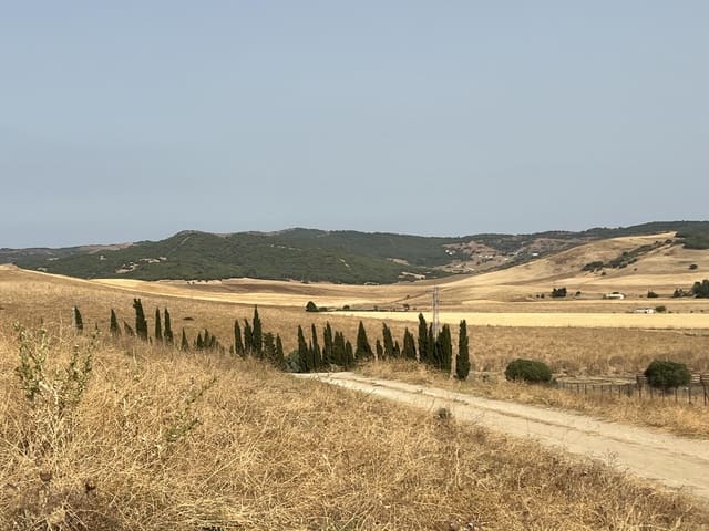 Tontti myytävänä paikassa Marchenilla, Jimena de la Frontera - 400 000 € (Ref: 9691581)