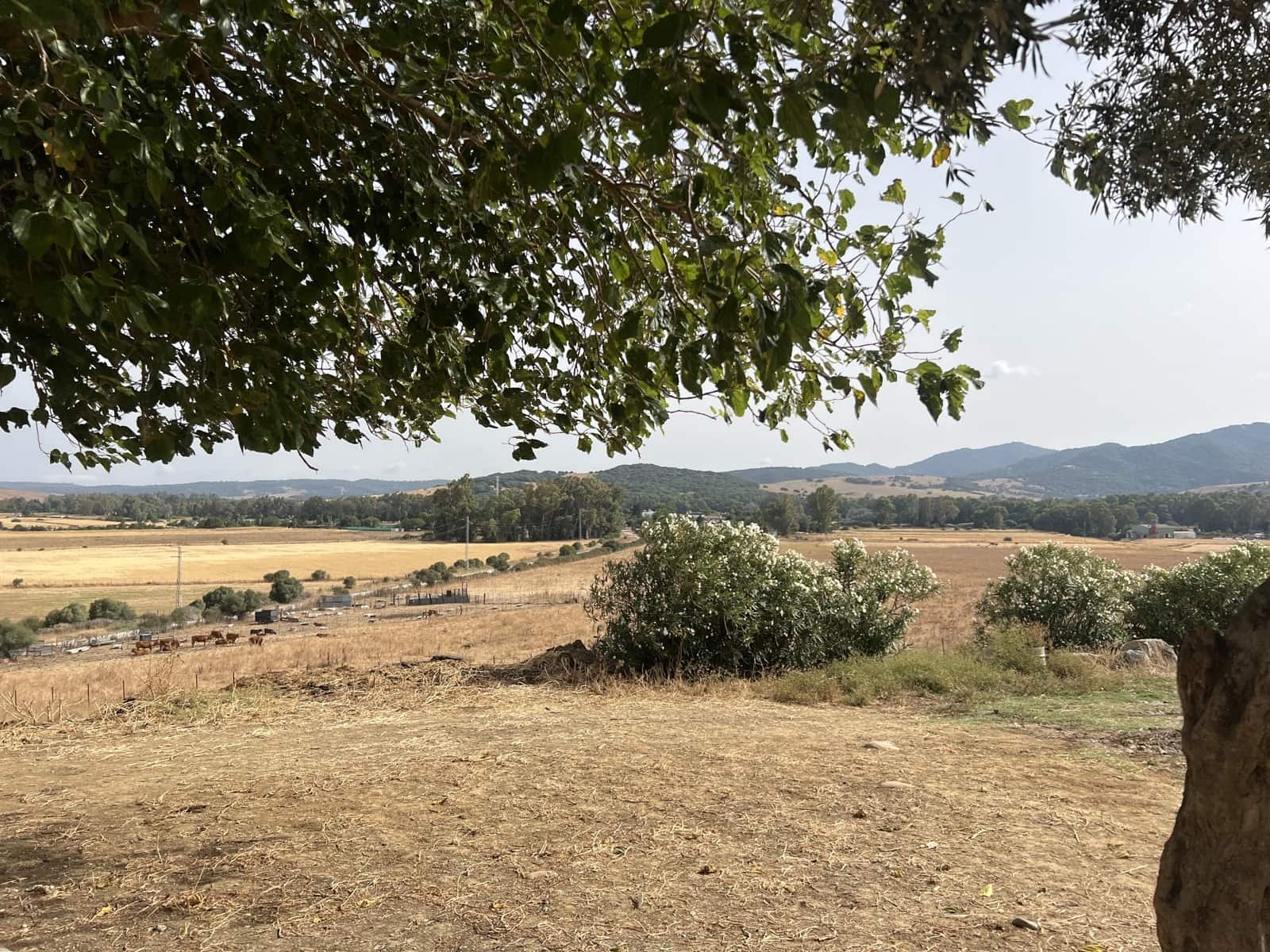 Tontti myytävänä paikassa Marchenilla - 400 000 € (Ref: 9691581)