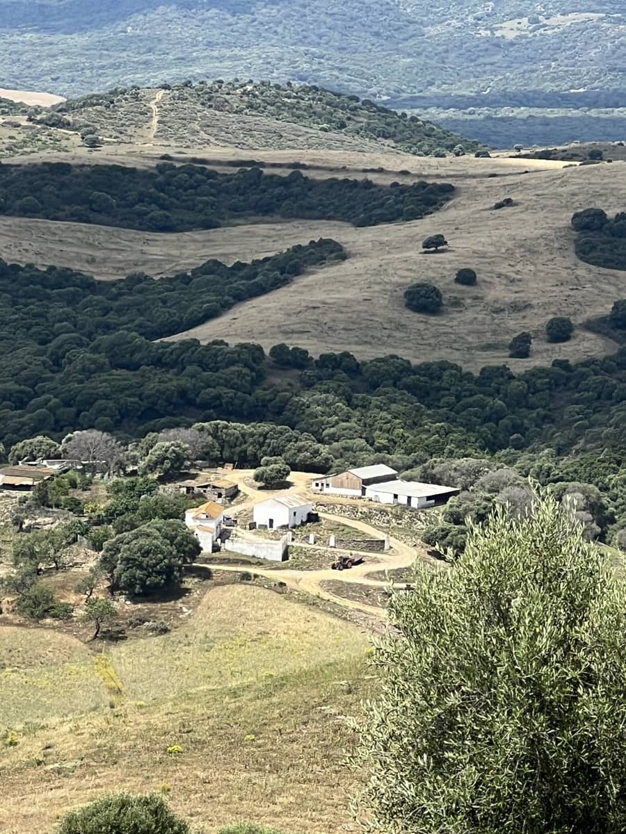 Finca/Country House for sale in Jimena de la Frontera - € 1,800,000 (Ref: 9691589)