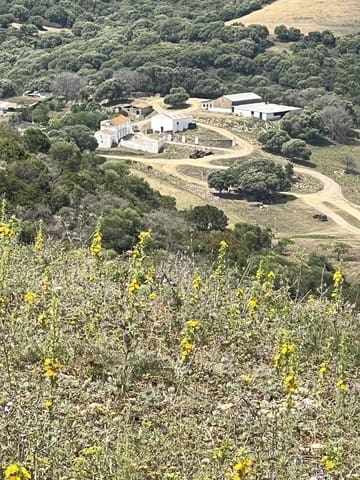 Finca/Landehus til salg i Jimena de la Frontera - € 1.800.000 (Ref: 9691589)