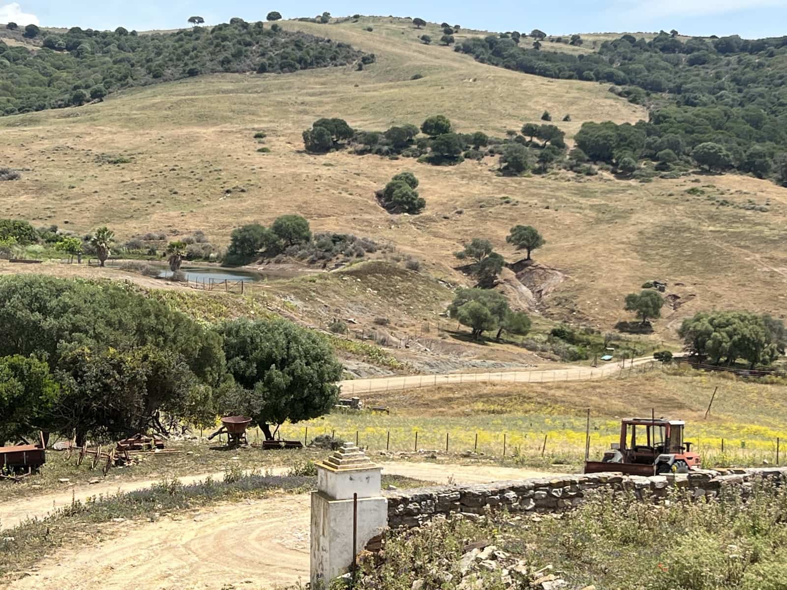 Finca/Country House for sale in Jimena de la Frontera - € 1,800,000 (Ref: 9691589)