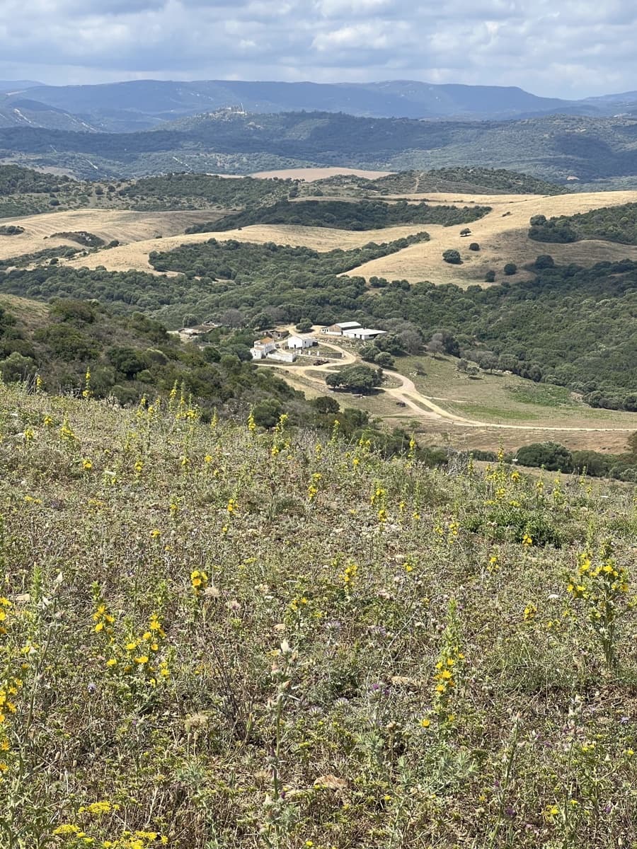 Finca/Country House for sale in Jimena de la Frontera - € 1,800,000 (Ref: 9691589)