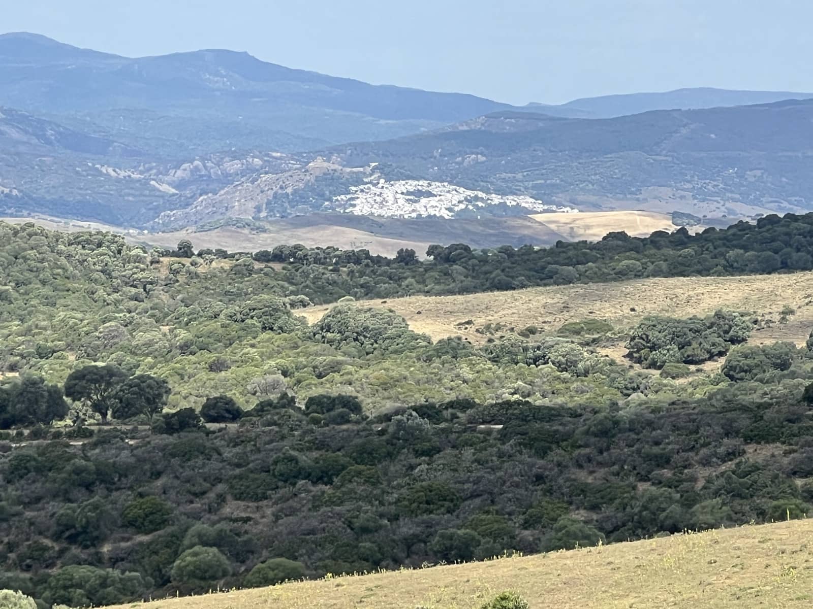 Finca/Country House for sale in Jimena de la Frontera - € 1,800,000 (Ref: 9691589)