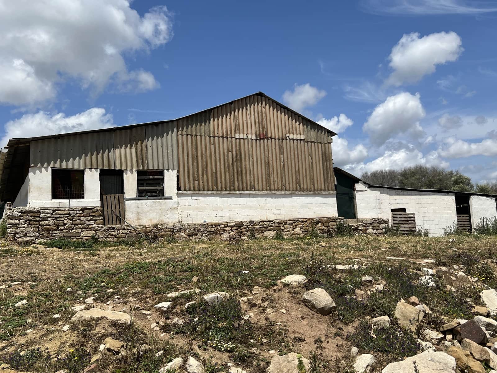 Finca/Country House for sale in Jimena de la Frontera - € 1,800,000 (Ref: 9691589)