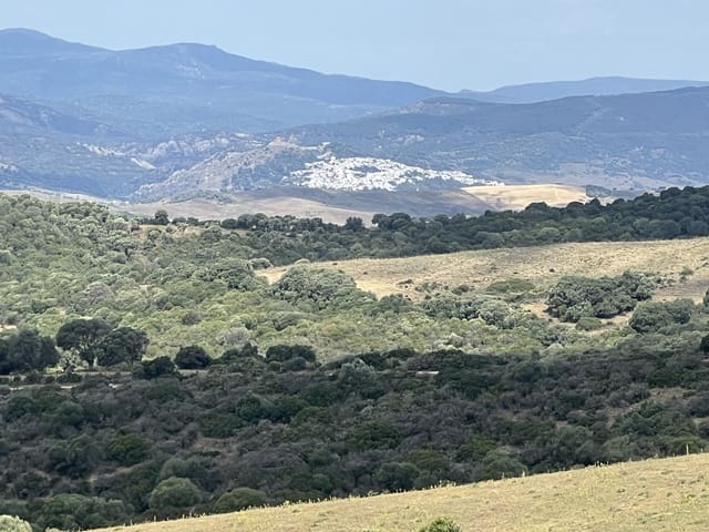 Finca/Landehus til salg i Jimena de la Frontera - € 1.800.000 (Ref: 9691589)