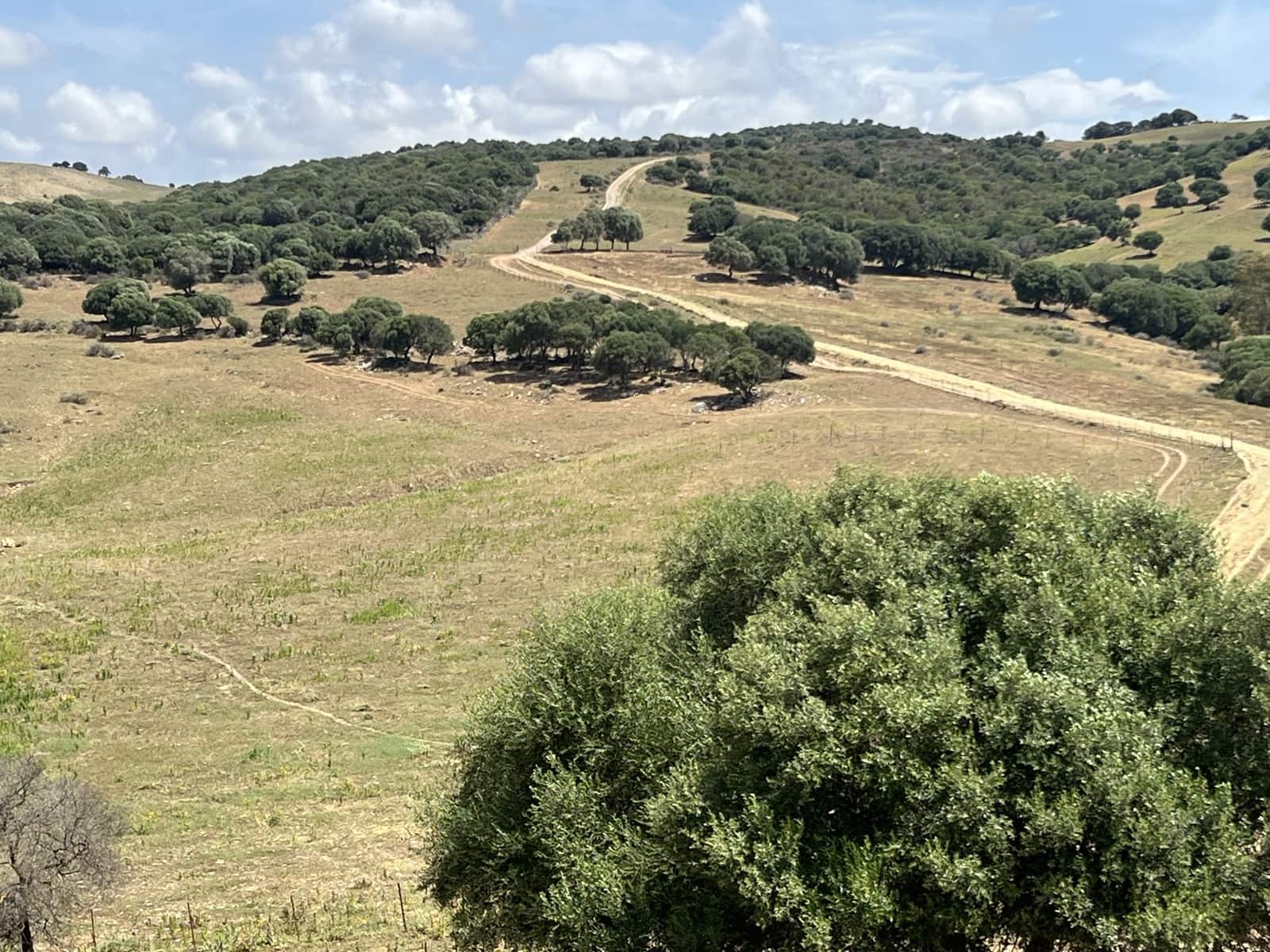 Finca/Country House for sale in Jimena de la Frontera - € 1,800,000 (Ref: 9691589)