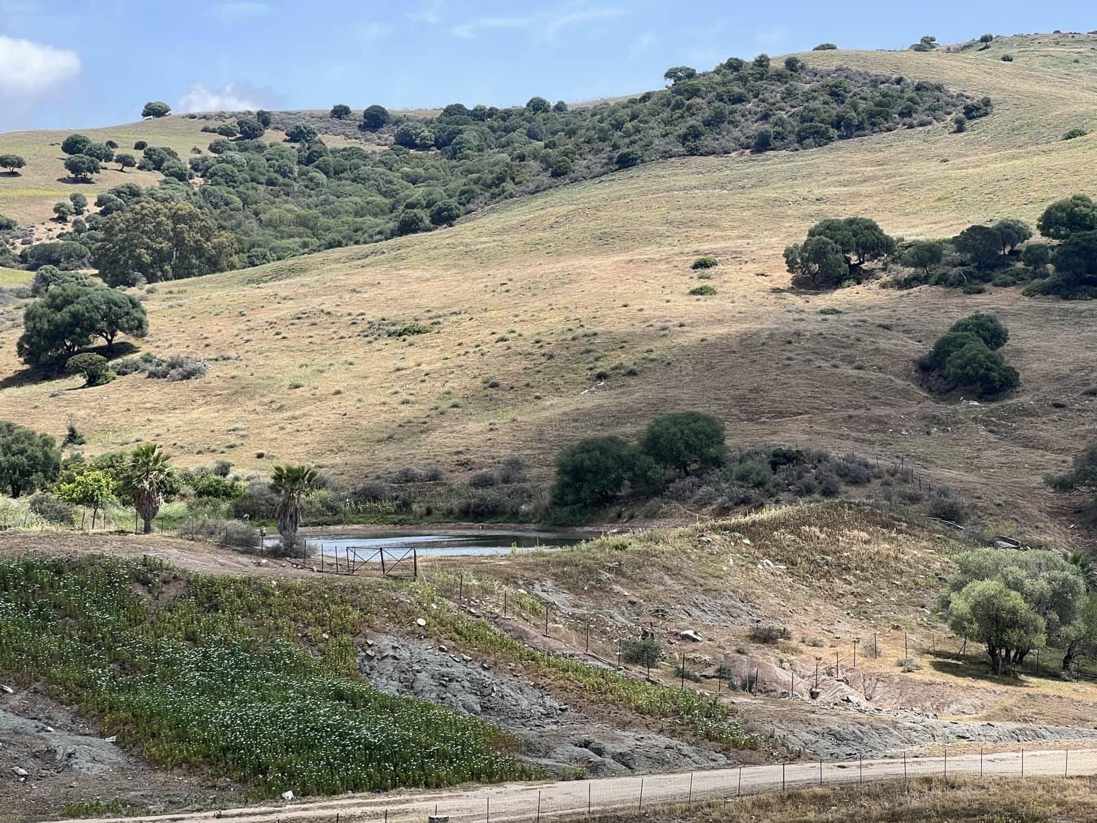 Finca/Country House for sale in Jimena de la Frontera - € 1,800,000 (Ref: 9691589)