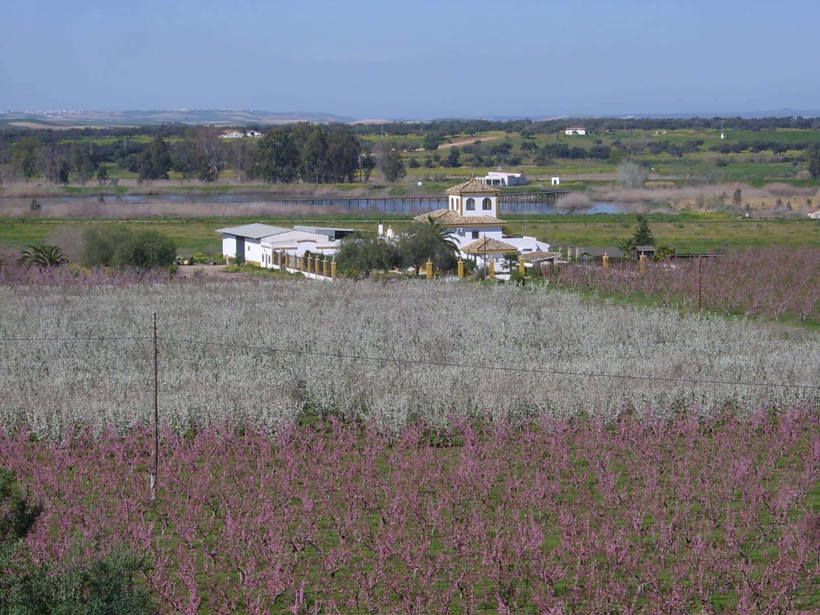 10 soverom Finca/Herregård til salgs i Sanlucar la Mayor - € 900 000 (Ref: 9844145)