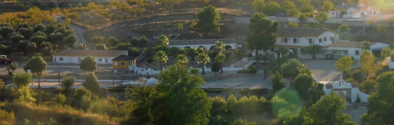9 soverom Finca/Herregård til salgs i Velez-Rubio med svømmebasseng garasje - € 1 500 000 (Ref: 9852202)