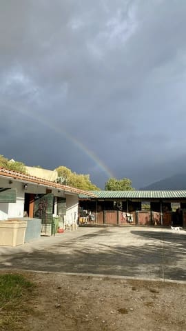 6 sovrum Finca/Hus på landet till salu i Casares med pool garage - 2 995 000 € (Ref: 9948506)