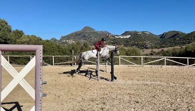 6 sovrum Finca/Hus på landet till salu i Casares med pool garage - 2 995 000 € (Ref: 9948506)