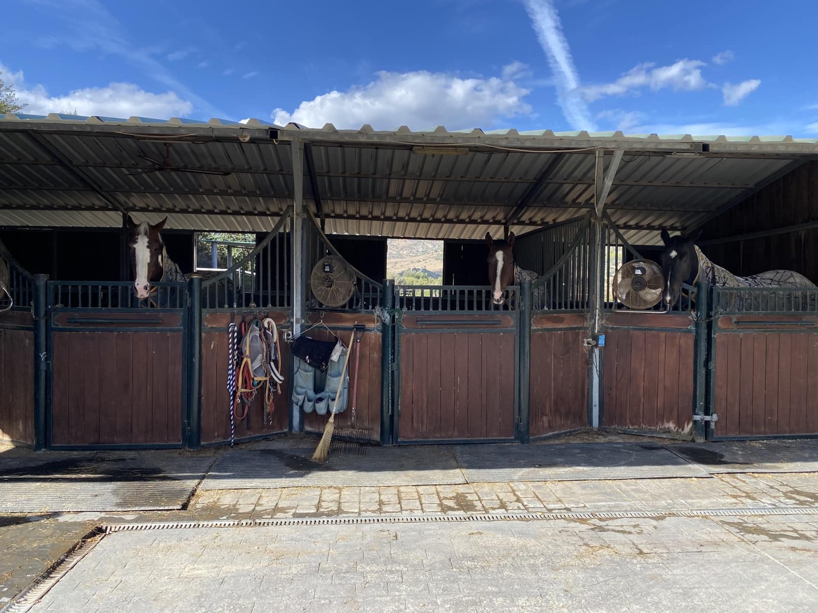 6 slaapkamer Finca/Landhuis te koop in Casares met zwembad garage - € 2.995.000 (Ref: 9948506)