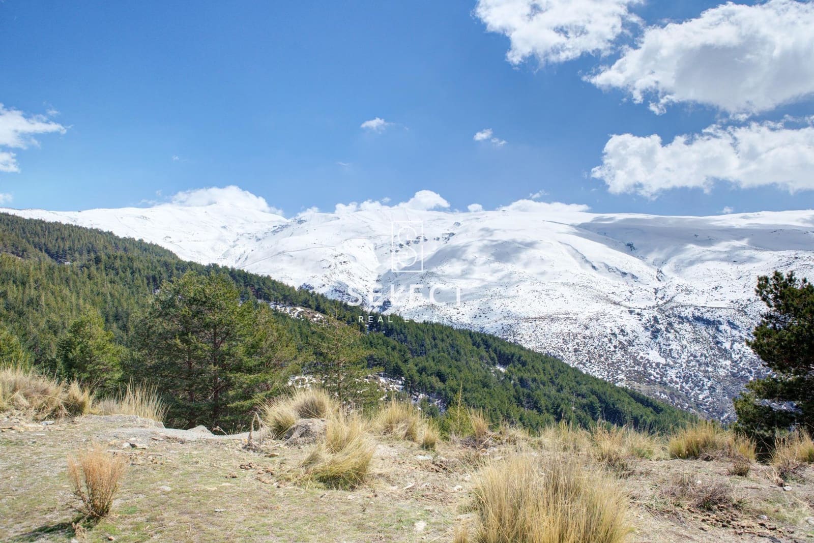 2 bedroom Apartment for sale in Sierra Nevada - € 202,000 (Ref: 8915480)