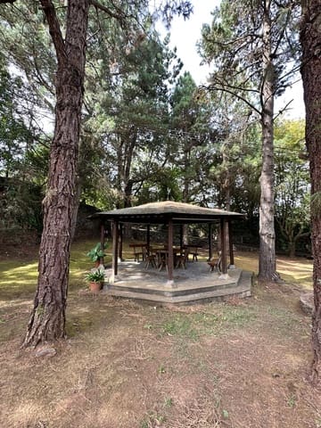 3 soverom Trehus til salgs i La Orotava - € 1 900 000 (Ref: 9357293)