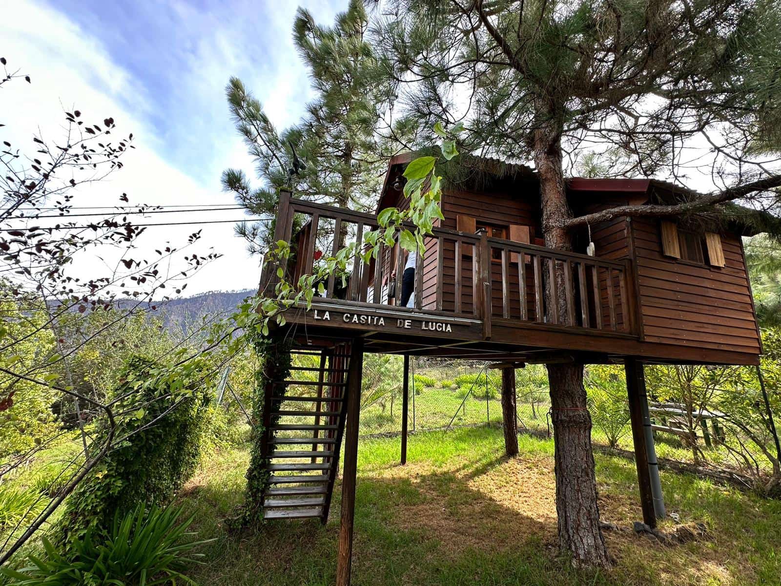 3 soverom Trehus til salgs i La Orotava - € 1 900 000 (Ref: 9357293)