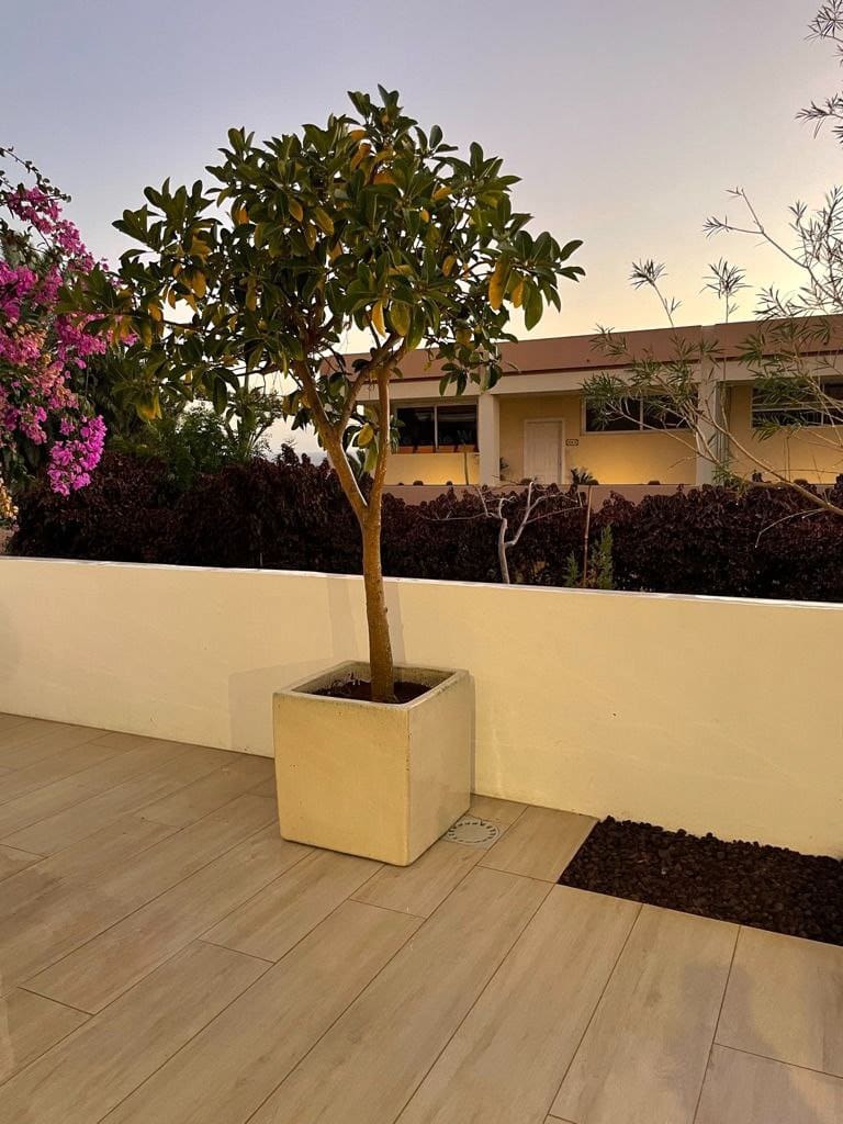 3 soveværelse Bungalow til salg i Marazul med garage - € 580.000 (Ref: 9357323)