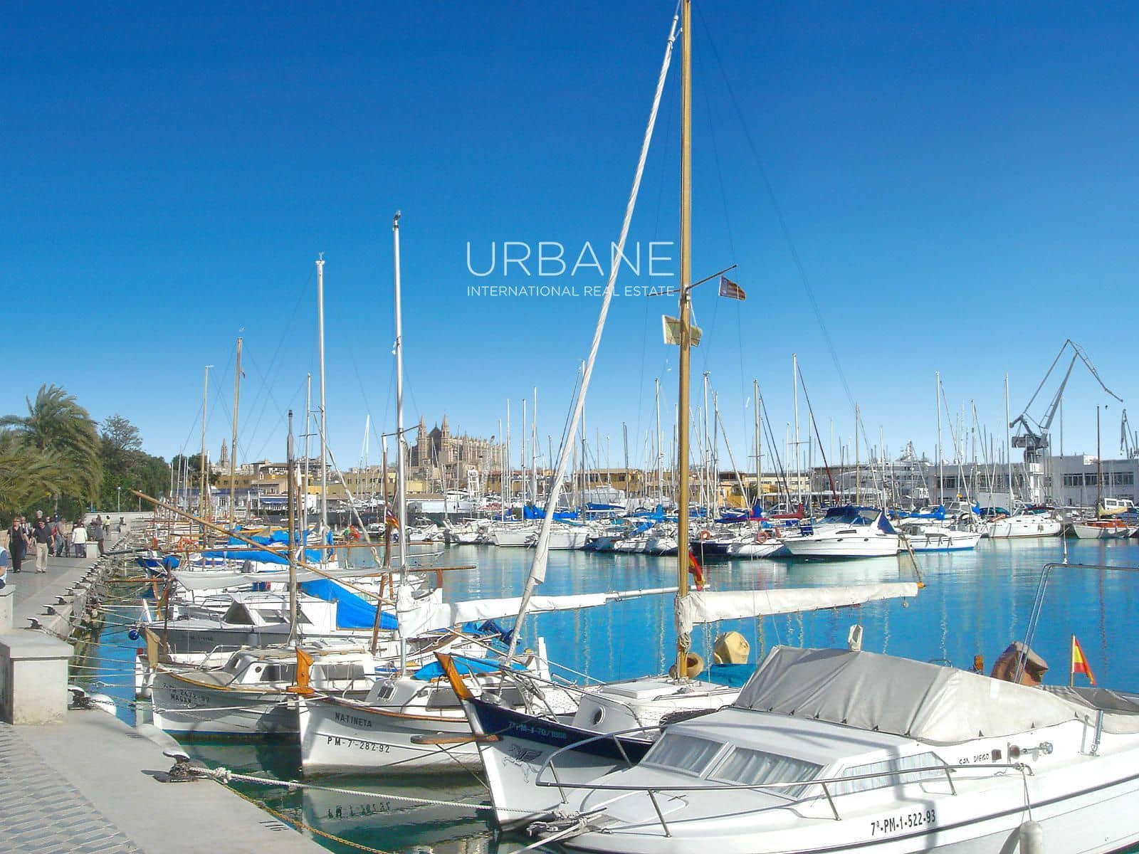 2 chambre Appartement à vendre à Palma de Mallorca avec garage - 775 500 € (Ref: 10015897)